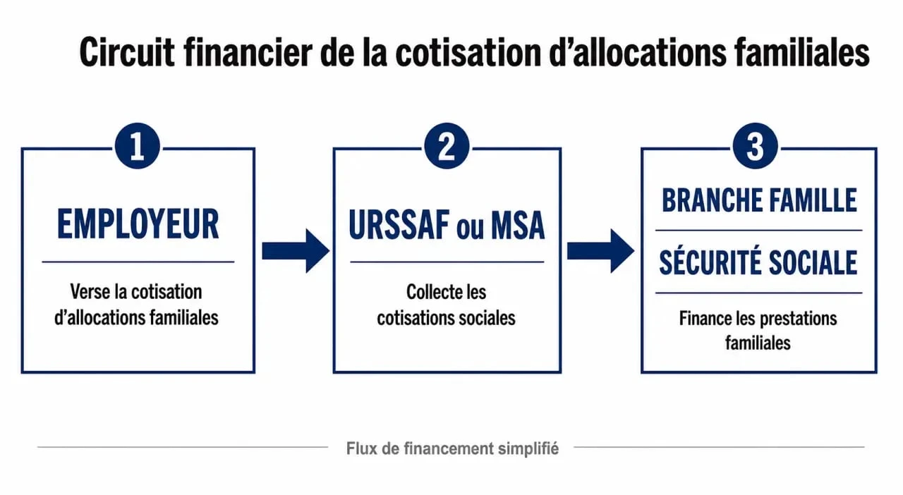 Schéma du circuit de la cotisation d'allocations familiales versée par l'employeur